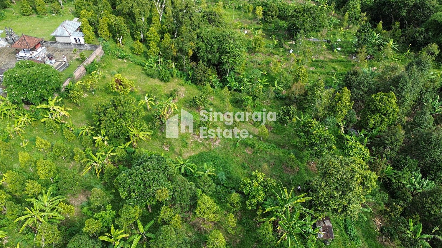 Tanah Kebun Murah 15 Menit Dari Singaraja Kota - Image 7
